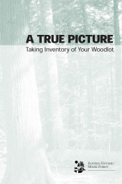 A True Picture: Taking Inventory of Your Woodlot