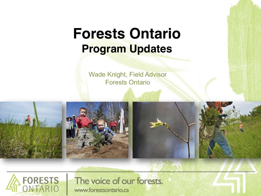 Forests Ontario Program Updates